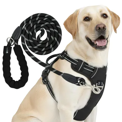 Produktbild von Reichstadt Hundegeschirr 25RSP083-4 Black L
