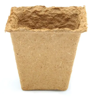 Artikelbild 7 von '6 x 6 cm Anzuchttopf quadratisch auf Holzfaser Basis'