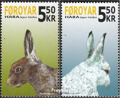 Produktbild von Briefmarken Dänemark - Färöer 2005 Mi 526-527 (kompl.Ausg.) postfrisch Schneehase