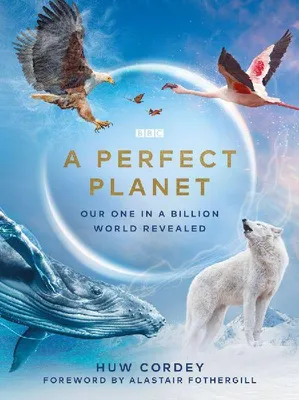 Produktbild von A Perfect Planet