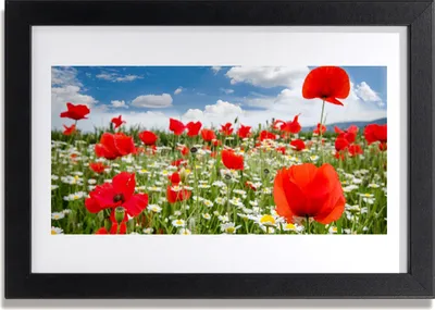 Produktbild von Bild 30x20 MDF-Rahmen Wandkunst Wiese Blumen Natur