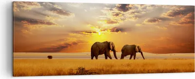 Produktbild von Bild auf Leinwand - Leinwandbild - Elefanten Safari Dschungel Busch - 140x50cm - Wand Bild - Wanddeko - Leinwanddruck - Bilder - Kunstdruck - Leinwand bilder - Wandkunst - AB140x50-3150