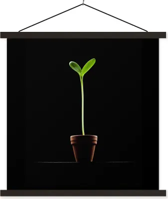 Produktbild von MuchoWow® Textilposter Eine junge Sonnenblume in einem Blumentopf vor einem schwarzen Hintergrund 60x80 cm mit schwarzem Rahmen - Plakathalter