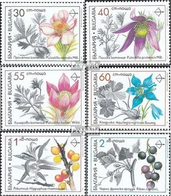 Produktbild von Briefmarken Bulgarien 1991 Mi 3953-3958 (kompl.Ausg.) postfrisch Umweltschutz: Heilpflanzen