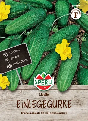Produktbild von SPERLI Einlegegurkensamen Libelle F1 Cucumis sativus 35 Pflanzen
