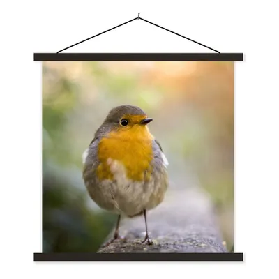 Produktbild von MuchoWow® Textilposter Vögel - Rotkehlchen - Baum 90x90 cm mit schwarzem Rahmen - Magnetisches