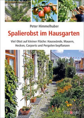Image de Spalierobst im Hausgarten