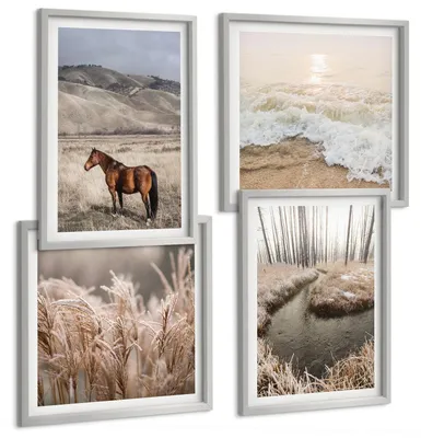 Produktbild von Bilder Set 4-teilig im silbergerahmten Rahmen – Wandbilder 4 Stück – gerahmte Poster für Wohnzimmer, Schlafzimmer und Flur – 50x50 cm - 40x60 cm – Pferdelandschaft Seegraswald