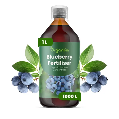Obrázok produktu pre Tekuté hnojivo Čučoriedka 1 L – 2-1-8 (NPK) – Pre ovocné kríky – Pre zdravé kríky a bohatú úrodu – Podporuje rast koreňov a vitalitu – Organický produkt
