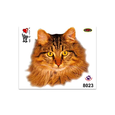Immagine prodotto di Gatto adesivo somalo 14 x 16 cm
