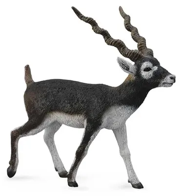Image de Figurine d'antilope blackbuck peinte à la main