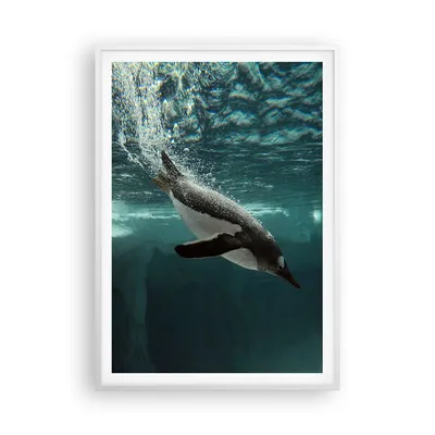 Produktbild von Gerahmtes Poster - Weißer Rahmen - Tauchen Pinguin Gletscher - 70x100 cm - Wand Bild - Wanddeko - Wandbilder - Wandposter - Bilderrahmen - Bilder - Kunstdruck - Wandbild - P2WPA70x100-4189