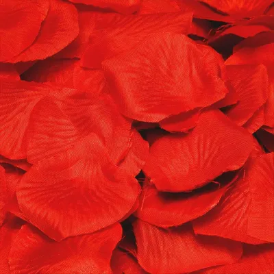 Produktbild von rote Rosenblätter