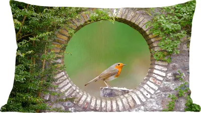 Produktbild von MuchoWow® Zierkissen Sofakissen Wohnzimmer Dekokissen 50x30 cm Vogel - Durchblick - Rotkehlchen - Wohnzimmerdekoration - Polster mit Photo