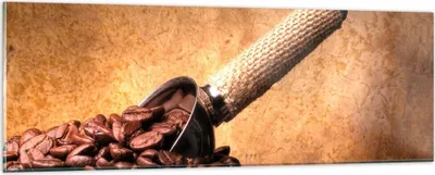 Produktbild von Bilder auf glas - Kaffee Getreide geröstet - 90x30cm - Glasbilder - Wandbilder - Kunstdruck - zum Aufhängen bereit - Wanddekoration aus Glas - Glas Bilder - Wandbild auf Glas - GAB90x30-2536