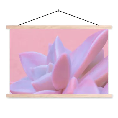 Obrázok produktu pre MuchoWow® Textilný plagát - Sukulent - Leto - Ružová - Rastliny - 150x100cm - S hnedými lamelami