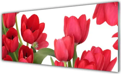 Imagen del producto de Panel de vidrio para la pared de la cocina, 125x50 cm, protector contra salpicaduras, con diseño de tulipanes y plantas