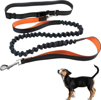 Obrázok produktu pre Vodítko pre psov na jogging a prechádzky Daisy shock absorber 130-200 cm