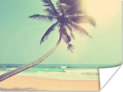Produktbild von MuchoWow® Poster Retro - Palme - Sonne - Sommer 160x120 cm - Foto Plakat