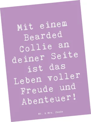 Produktbild von Mr. & Mrs. Panda Postkarte Spruch Bearded Collie Freund - Lavendeltraum - Geschenk, Lebensfreude, Postkarten, treuer Begleiter, Hundeliebhaber, bildkarte, Hunderasse
