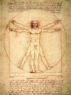 Zdjęcie produktu dla Leonardo Da Vinci Art Print Obraz - Człowiek witruwiański, około 1490 r. (80 x 60 cm)