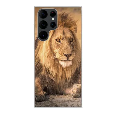 Produktbild von MuchoWow® Handyhülle Schutzhülle Hülle für Samsung Galaxy S22 Ultra Löwe - Nahaufnahme - Savanne Silikon Softcase Handy Hülle - Abbildung