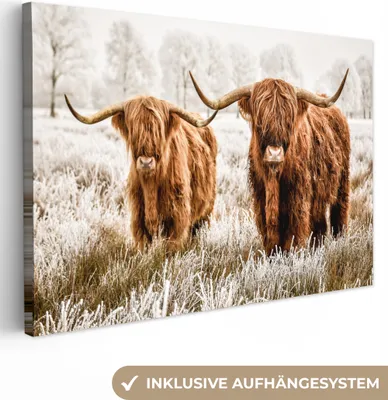 Zdjęcie produktu dla MuchoWow® - Obraz na płótnie - Szkocki góral - Krowa - Natura - Zima, fototapeta, dekoracja ścienna, obrazy do salonu, 120x80cm