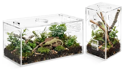 Productafbeelding van Solidchoice - Acryl Terrarium voor Springspinnen, Set van 2