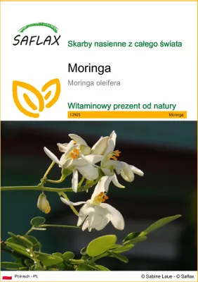 Zdjęcie produktu dla SAFLAX - Moringa - 10 Nasiona - Moringa oleifera