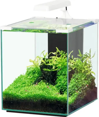 Produktbild von Aquarium aquatlantis Nano Cubic 30 mit Frostglasrückseite, LED-Beleuchtung, Filter, Heizer, Pumpe weiß (ohne Schrank)