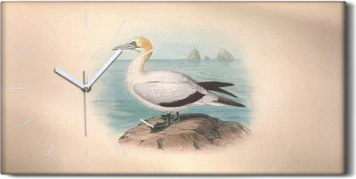 Produktbild von Wandbild Leinwand Bilder mit Uhr 60x30 Vögel Wild Tiere Zeichnung Kunst - weiße Hände