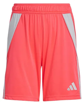 Image de Shorts adidas Tiro 24, modèle 116, couleur SHORED