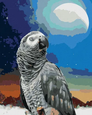 Produktbild von Zuty - Malen nach Zahlen - PAPAGEI UND MOND, 40x50 cm, mit Keilrahmen (bereits gespannt)