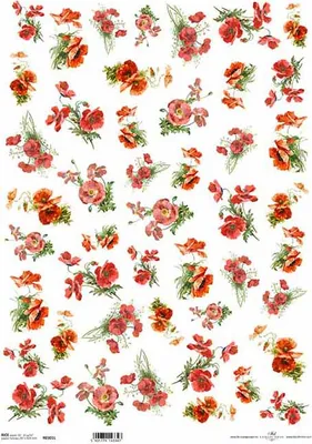 Immagine prodotto di ITD carta di riso per decoupage A3 papaveri 0301L