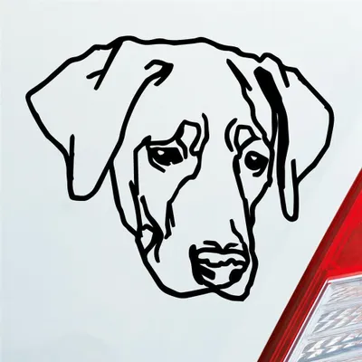 Produktbild von Auto Aufkleber Labrador Labi Labbi Hund Dog 12x10 cm Schwarz Glanz Sticker Heckscheibenaufkleber