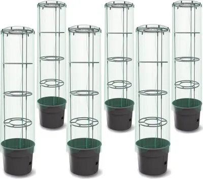 Immagine prodotto di 6x pianta di pomodoro con coperchio e fioriera in foglio 28 L, coltivatore di pomodori, vaso di pomodori, fioriera, verdura, lavaggio pomodoriPianta di pomodoro con coperchio in foglio, fioriera 12 L coltivatore di pomodori, vaso di pomodori, fioriera