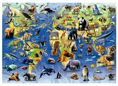 Image de Puzzle carte du monde des animaux, especes menacees 500 pieces - planisphere - educa - 19908