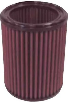 Image de K&N Filters | Filtre à air (E-9183) entre autres pour Citroën,Peugeot