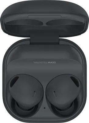 Produktbild von Samsung Galaxy Buds2 Pro Graphite