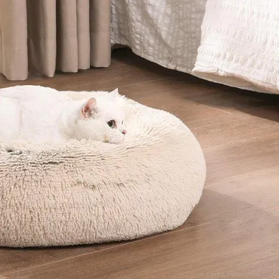 Produktbild von Famanu Hundebett Doppelseitig - 50 x 20 cm