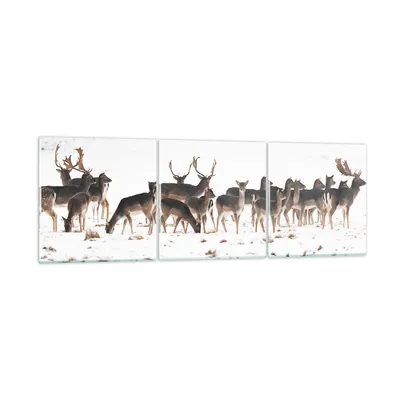 Produktbild von Bilder auf glas - Hirsch Winter Tierwelt Landschaft - 150x50cm - Glasbilder - Wandbilder - Kunstdruck - Wanddekoration aus Glas - Glas Bilder - Wandbild auf Glas - GCA150x50-3144