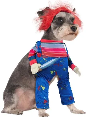 Obrázek produktu pro Kostým pro domácí mazlíčky na Halloween, včetně odpovídající čepice