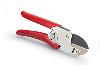 Produktbild von WOLF-Garten Amboss-Gartenschere RS-EN 19mm Ø antihaft Klingen Rot/Silber