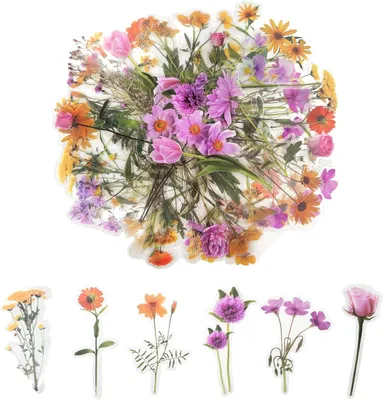 Zdjęcie produktu dla Przezroczyste naklejki Blumensticker, 80 sztuk, do scrapbookingu, idealne do notatników