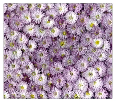 Produktbild von Spritzschutz Herdabdeckplatte Schneidebrett aus Glas Magentameer 1-Teilig (60x52cm)
