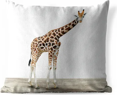 Produktbild von MuchoWow® Outdoor Kissen - Giraffe - Tiere - Weißer Hintergrund - Kinder - Junge - Mädchen - 60x60 cm - Wetterfest - Lounge Kissen - Dekoration - Schlaf Kissen