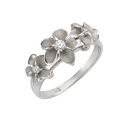 Produktbild von F Ring 925/- Sterling Silber weiß 019 (60,0) Zirkonia weiß 360272275