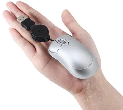 Image de Petite souris optique USB rétractable avec fil, couleur argent