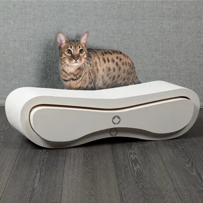 A cat is sitting on a modern, white and gray cat scratching post.