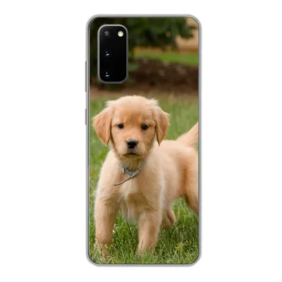 Produktbild von MuchoWow® Handyhülle Schutzhülle Hülle für Samsung Galaxy S20 Golden Retriever Welpe im grünen Gras Silikon Softcase Handy Hülle - Bild
